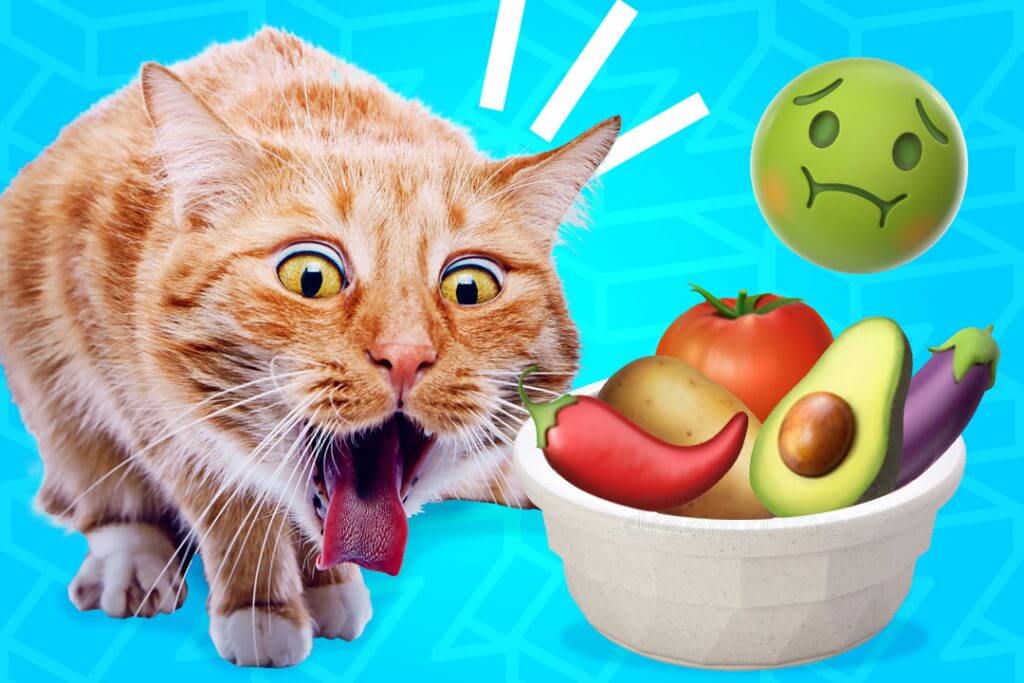 Alimentos que no pueden comer los gatos